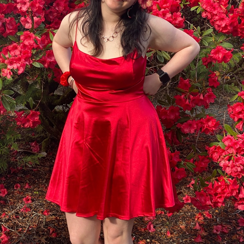 Macys Dress Size Large